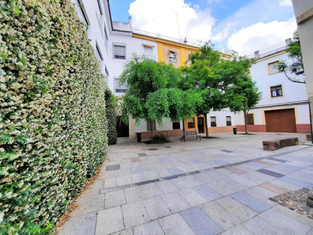 San Pedro Parking Gratis Coche Mediano Apartment Cordoba